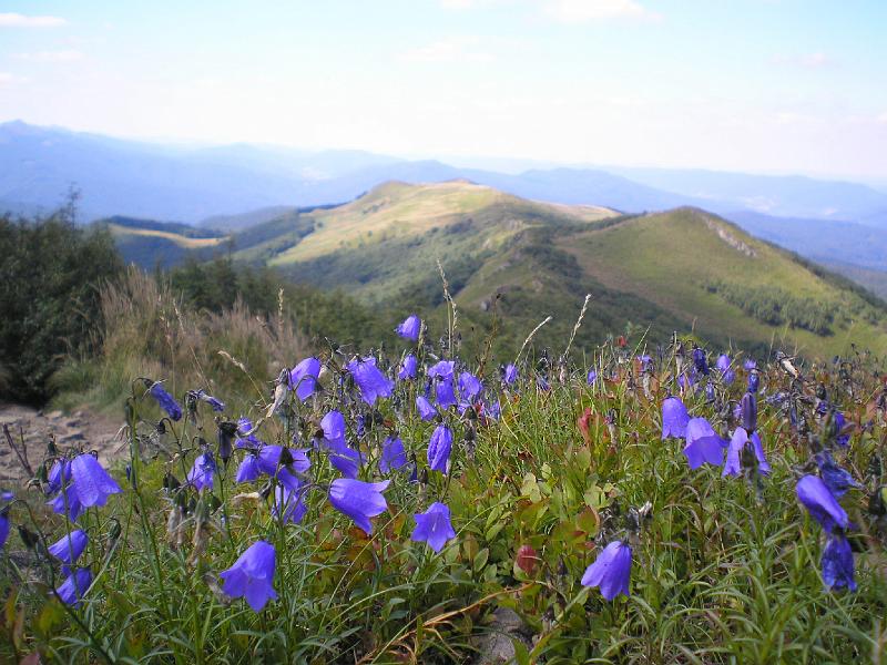 wakacje2008 187.jpg - ALE BYŁO FAJNIE !!!!